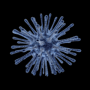 From Invisible to Iconic: The Evolution of Virus Visualization 🦠