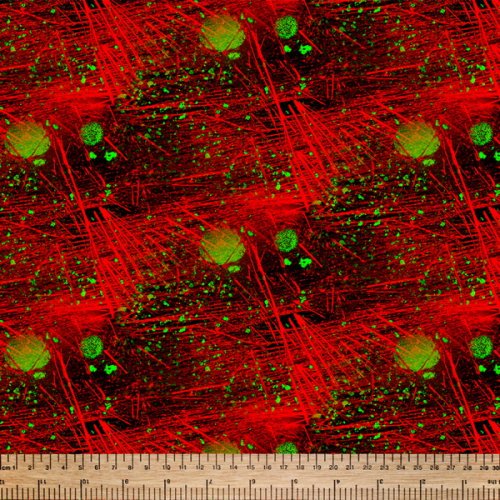 Actin Cytoskeleton Fabric