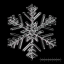 Napkin Snowflakes Different Colors - Pattern variant: Cryo snowflake dark-blue