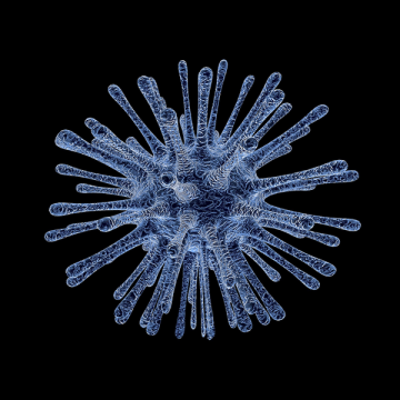 From Invisible to Iconic: The Evolution of Virus Visualization 🦠